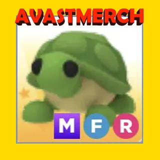 MFR TURTLE