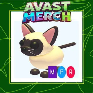 mfr siamese cat / mega siamese cat