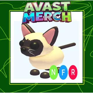 nfr siamese cat / neon siamese cat