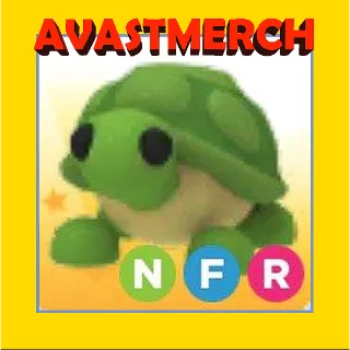 nfr turtle