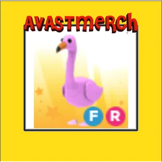 fr flamingo