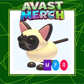 mfr siamese cat / mega siamese cat