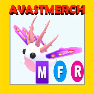 MEGA SEA SLUG / MFR SEA SLUG