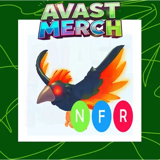 nfr storm condor 