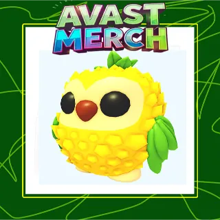 4x pineapple owl