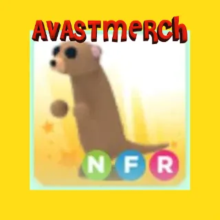 nfr meerkat