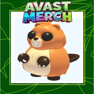 16x ranger beaver