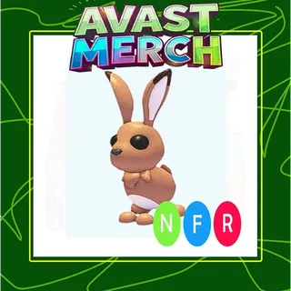 nfr hare
