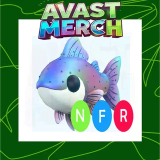 nfr rainbow trout