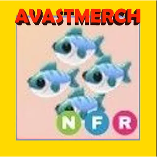 nfr many mackerel