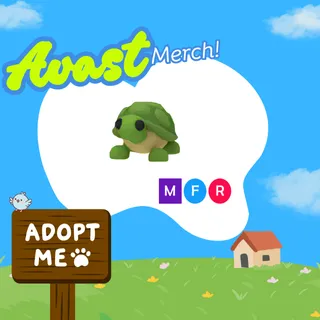 mfr turtle