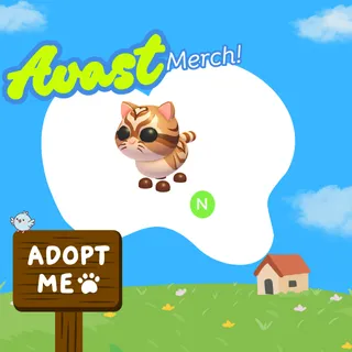 neon catte