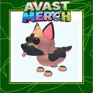 german shepherd