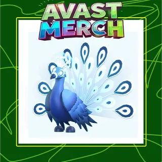 16x MOONBEAM PEACOCK