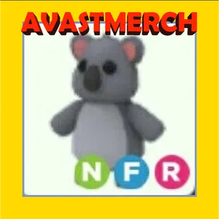 nfr koala