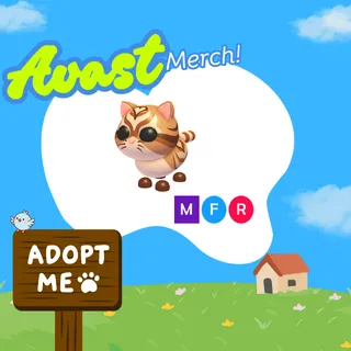 mfr catte