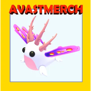 16x sea slug