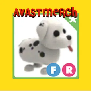 FR DALMATIAN 