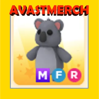mfr koala