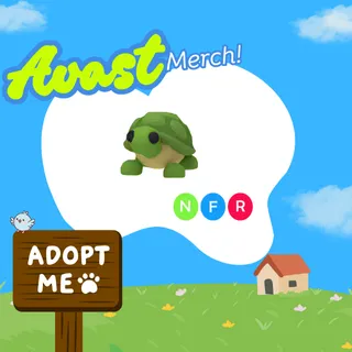 nfr turtle