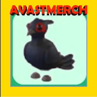 black-chested pheasant