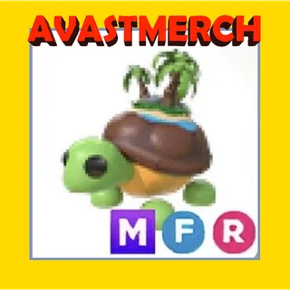MFR Tortuga De La Isla