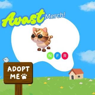 nfr catte