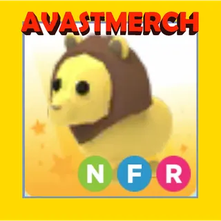 nfr lion