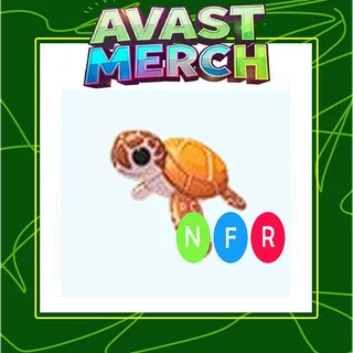 nfr sea turtle / neon sea turtle