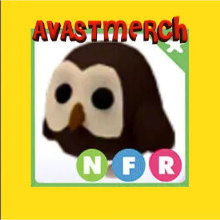 nfr owl