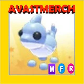 mfr shark puppy