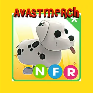 nfr dalmatian
