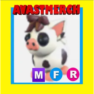 MFR MINI PIG 
