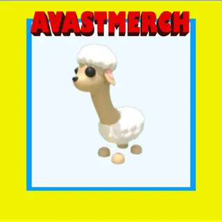 25x sheeeeep (For C. V.)