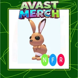 nfr hare