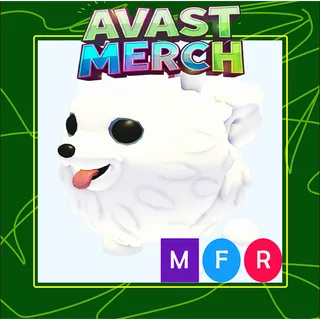 mfr samoyed