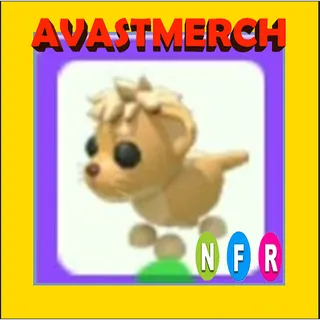 nfr lion cub
