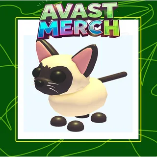 SIAMESE CAT