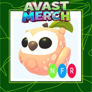 nfr peach owl /Neon peach owl