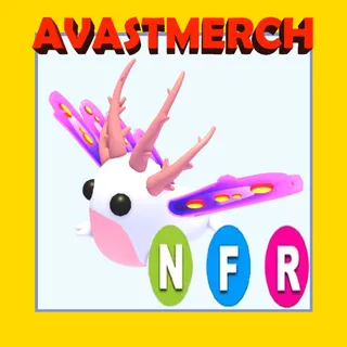 NEON SEA SLUG / NFR SEA SLUG