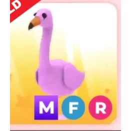 MFR Flamingo