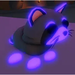 mfr raccoon