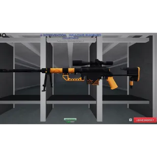 Intervention | Hallows Punisher