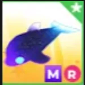 MR Glormy Dolphin