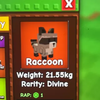 Grow a garden Raccoon