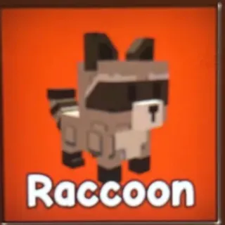 10x Racoons