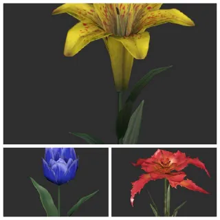 MASSIVE FLOWERS 20K EACH