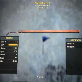 Rare Legacy Pole Hook