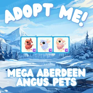 Mega Aberdeen Angus Pets