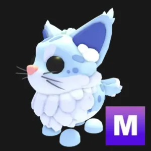 MR Maine coon-adopt me